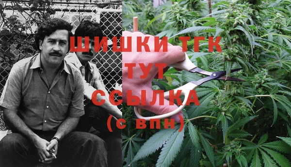 крисы Лиски