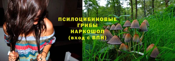 крисы Лиски