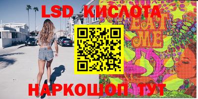 индика Кандалакша