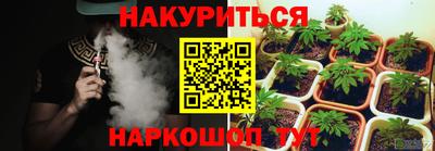 2c-b Камышлов