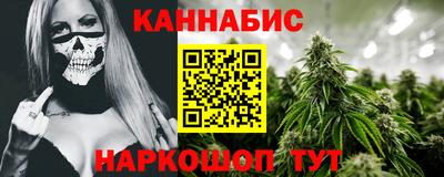 индика Кандалакша