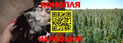 индика Кандалакша