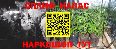 2c-b Камышлов